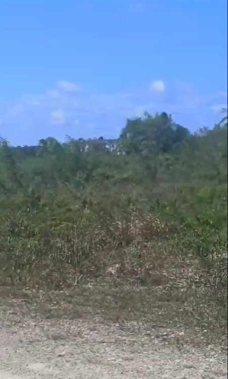 Land in White Sand, Bávaro, Dominican Republic
