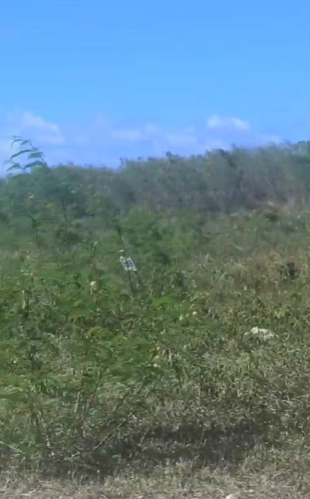 Land in White Sand, Bávaro, Dominican Republic