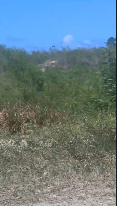 Land in White Sand, Bávaro, Dominican Republic