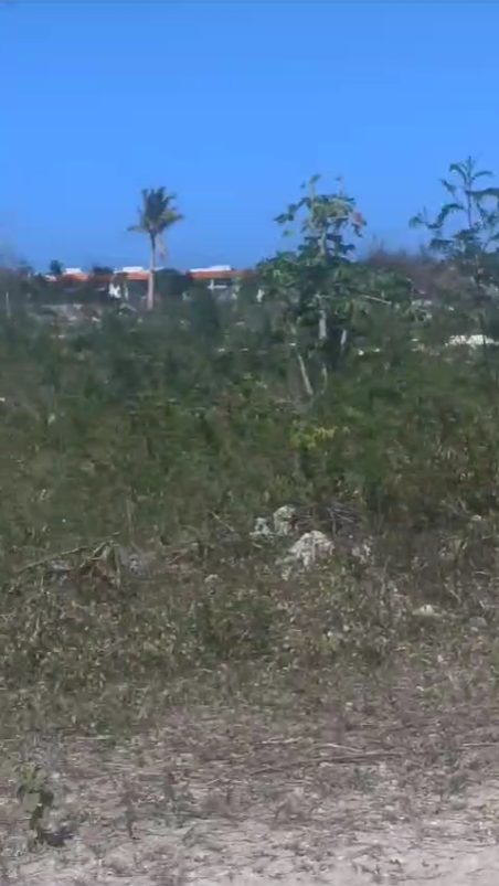Land in White Sand, Bávaro, Dominican Republic